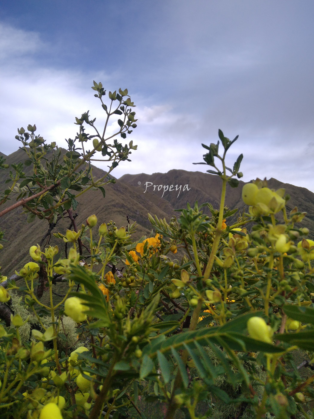 Casa de Campo en Urubamba